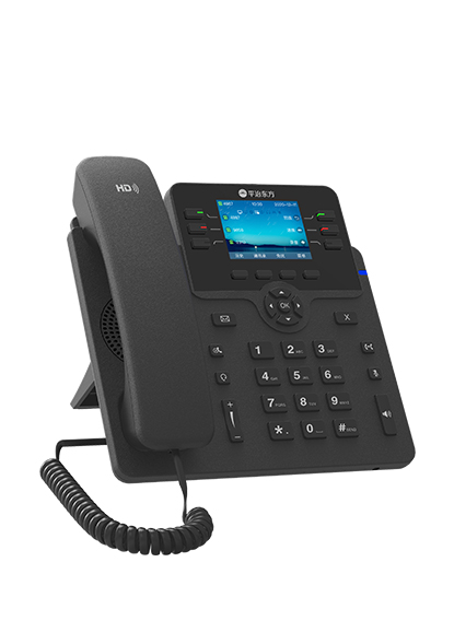 Entry-level IP Phone PZ028